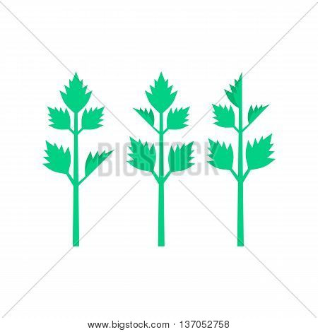 celery leaves on white background. concept of spring culinary, greenery, gourmet cuisine, vegetative smoothie, nourishment, invalid food, balanced meals. flat style modern design vector illustration