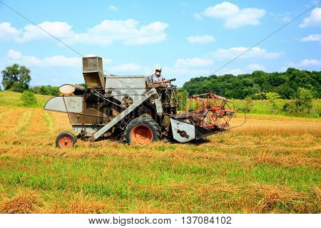 antique grain combine summer harvest oats wheat farming