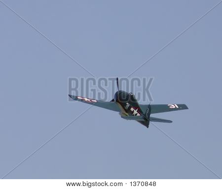 F6F5 cadı