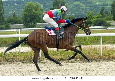 Horse race for the prize Anilina in Pyatigorsk,Caucasus,Russia.