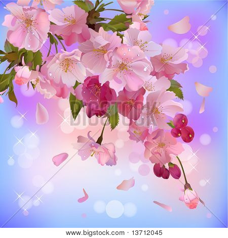 Vector Background With Gentle Sakura Branch Of  Flowers