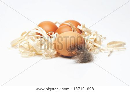 Brown Domestic Eggs With Excelsior