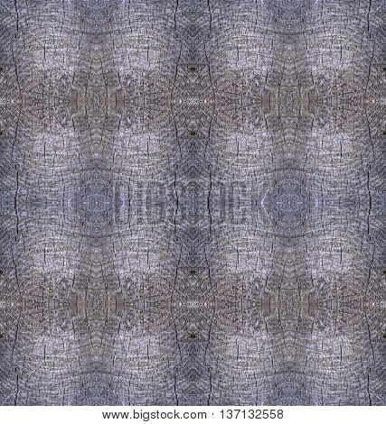 Tree stump cut old wooden background from top view. Collage with mirror reflection of cut tree trunk. Decorative seamless wooden texture