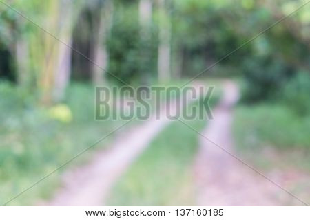 Blurred brown clay way into the wood.