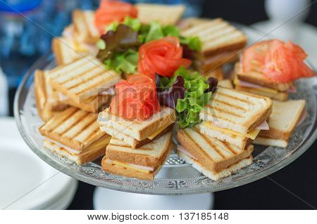 Cheese sandwiches and egg salad, arranged on a platter and garnished with salad-2.