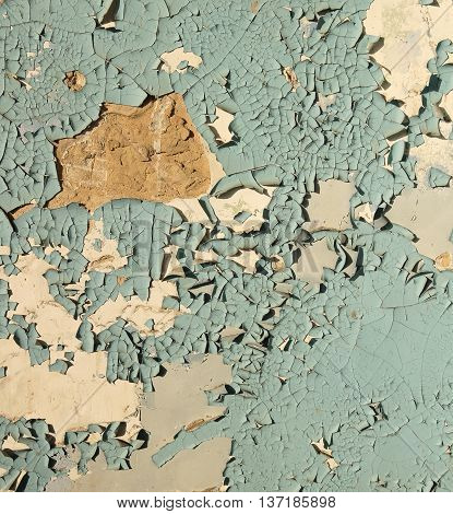 Old cracked paint blue on top of a white wall, in some places completely flown away, side lighting sunlight