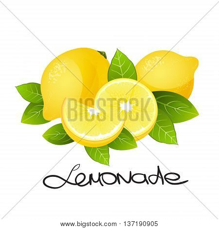 Fresh lemon fruit. Realistic citrus slice vector illustrations