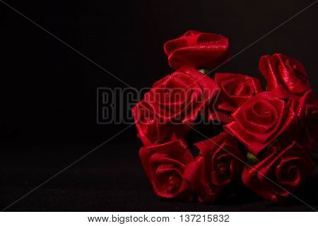 Red ribbon rose in the dark background