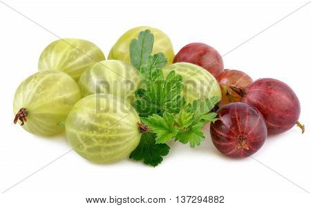 red green gooseberry fruit with leaf on white