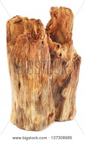 Close up of Bogwood over white background