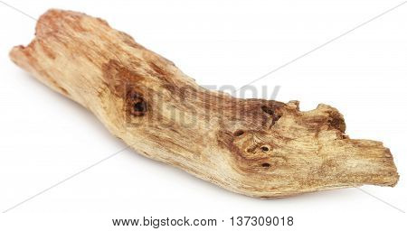 Close up of Bogwood over white background