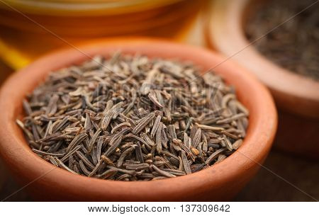 Close up of Caraway seeds with other spices