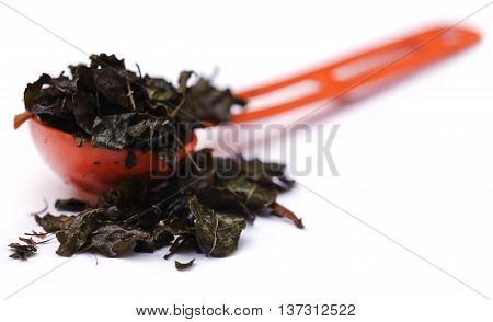 Fried moringa leaves in a spoon over white background