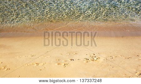 Footprints in the sand along the clean sea