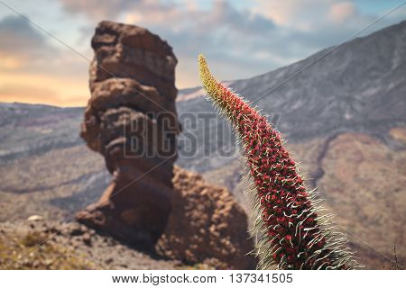 Famous Finger Of God Rock