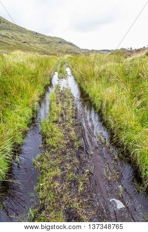 The course of a narrow gauge railway which carried slate from mines to blaenau ffestiniog Gwynedd Wales United Kingdom.