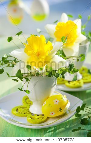 复活节装饰： 在 eggcups 中的水仙
