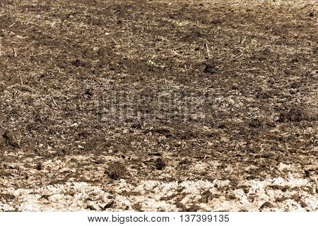 a tractor plowed field agricultural land. Spring, sown close-up.