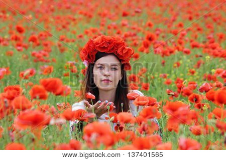A woman in the field with a circlet of poppies picking flowers