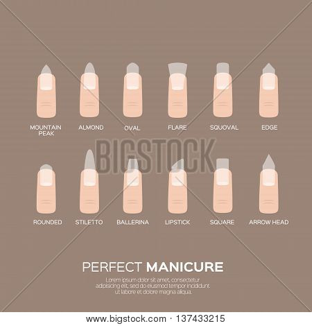 Different nail shapes. Woman fingers. Fingernails fashion trends. Vector design illustration