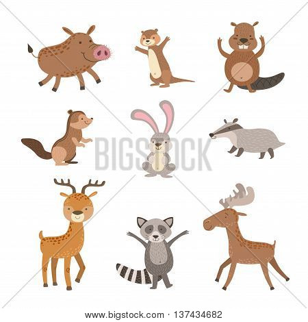 Forest Animals Collection Of Stylized Cute Childish Flat Vector Drawings Isolated On White Background