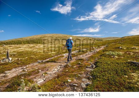 hiker with backpack traveling in Norway mountains Dovre