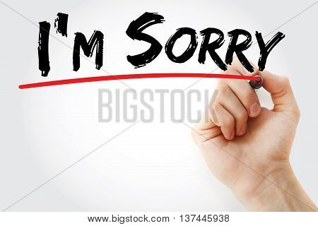 Hand Writing I'm Sorry With Marker