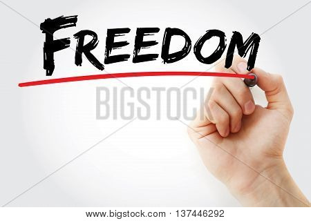 Hand Writing Freedom With Marker