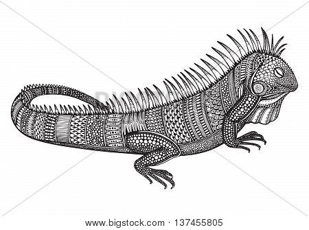 Hand drawn graphic ornate iguana with ethnic doodle pattern.Vector illustration for coloring book, tattoo, print on t-shirt, bag. Isolated on a white background.