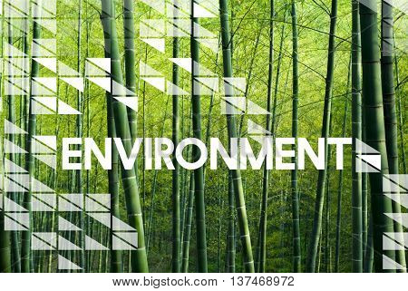 Go Green Business Environment Conservation Environmentalist Concept