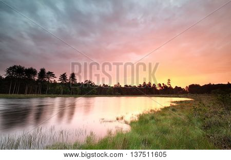 sunrise on wild forest lake in summer