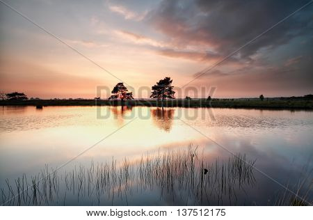 sunset light on wild lake Dwingelderveld Netherlands