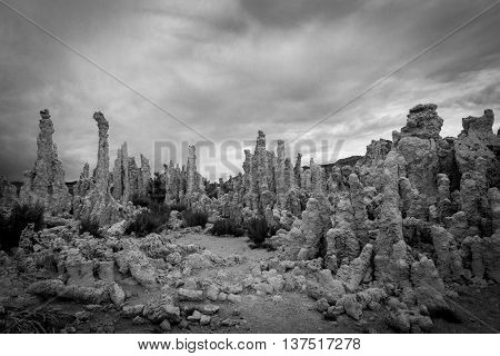 Tufa columns and formation at Mono Lake, California