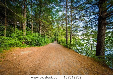 Trail Along Winnisquam Lake, At Ahern State Park, In Laconia, New Hampshire.