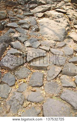 An Image of Stepping Stone in garden