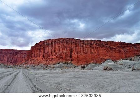 Ischigualasto Provincial Park. Argentina