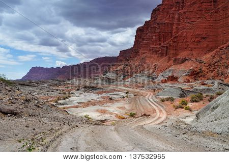 Ischigualasto Provincial Park. Argentina