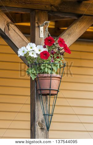 Flower kashpo hanging on the porch at sunset