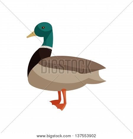 Duck icon in cartoon style isolated on white background. Animals symbol