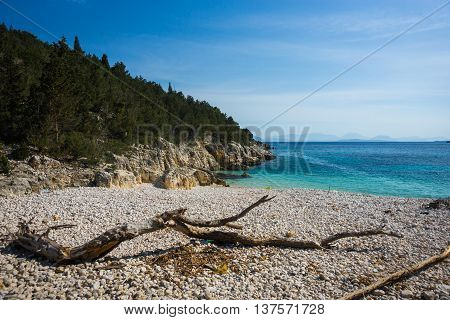 Tree Trunk With Branches On The Beach Dafnoudi, Kefalonia, Greece