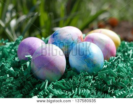 Freshly colored Easter Eggs are all set to be hidden.