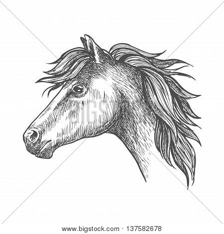Profile of heavy farm horse isolated sketch icon of clydesdale mare with short mane and strong neck. Use as organic farming theme, horseback riding tour and family outdoor activity design