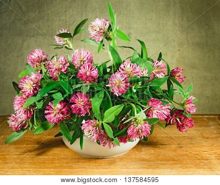 Alfalfa. Still life. Bouquet of meadow flowers in white pots standing on a wooden table. Rustic style.