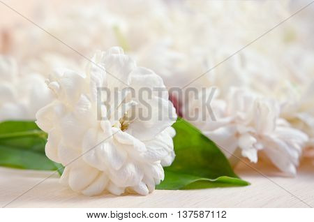 Jasmine Flowers Grouped On Wooden Board Background