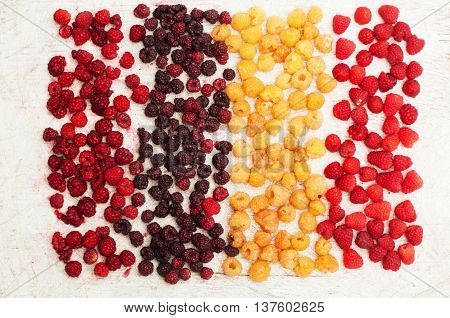 Colorful Mix Of Fruits On Black Background. View From Above. Fresh Organic Berries ,  So You Can Eat
