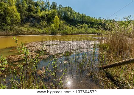 Landscape in northern germany with little pond