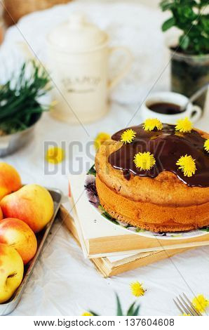 Traditional Homemade Chocolate Cake. Rustic Style And Natural Li