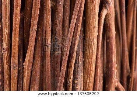 A macro shot of tree branches (brushwood) as a background