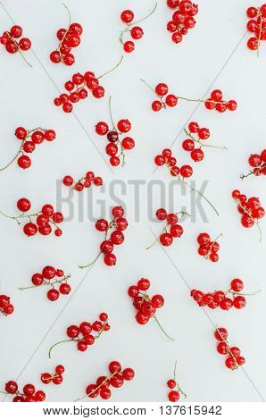 Colorful Mix Of Fruits On White Background. View From Above. Col