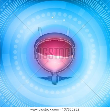 Urinary Bladder Light Blue Abstract Round Circle  Background